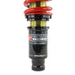 Skunk2 96-00 Honda Civic Pro-ST Coilovers (Front 10 kg/mm - Rear 10 kg/mm)