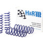 H&R 11-16 BMW 528i/535i F10 Sport Spring