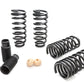 Eibach Pro-Kit for 11 Cadillac CTS-V