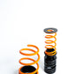 MSS 17-21 Honda Civic FK8 Type-R Sports Full Adjustable Kit