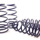 H&R 04-11 Chevrolet Aveo Sport Spring