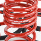 Skunk2 02-04 Acura RSX Lowering Springs (2.25in - 2.00in.) (Set of 4)