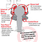 SPC Performance Replacement Greasable Ball Joints (Pair)