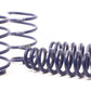 H&R 13-15 BMW X1 sDrive28i E84 Sport Spring (2WD Only)
