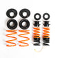 MSS 14-21 Audi TT / TT-S / TT-RS MK3 Sports Full Adjustable Kit