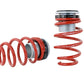 Skunk2 17-20 Honda Civic Si Pro-ST Coilovers