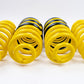 AST Suspension 18-21 Jeep Cherokee Trackhawk Lowering Springs - 1.1 inch front / 1.75 inch rear drop