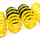 AST Suspension 18-21 Jeep Cherokee Trackhawk Lowering Springs - 1.1 inch front / 1.75 inch rear drop